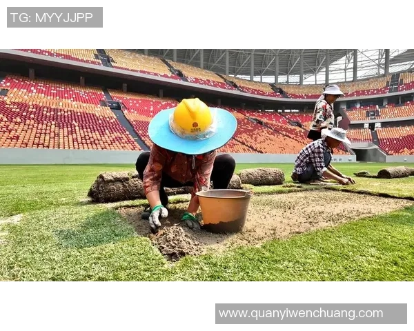 重庆足球队总决赛表现分析与未来发展展望 重庆足球队总决赛表现分析与未来发展展望